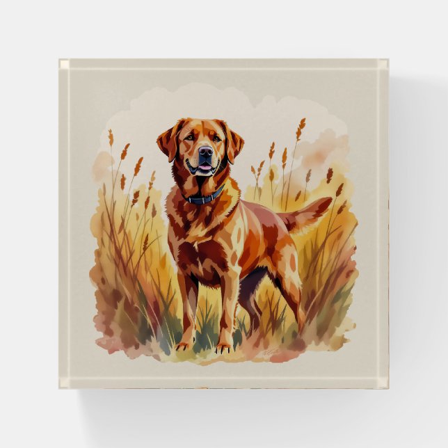 Fox Red Labrador Retriever Dog Paperweight (Front)