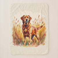 Fox Red Labrador Retriever Dog