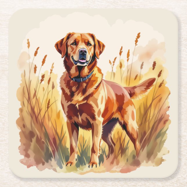 Fox Red Labrador Retriever Dog Square Paper Coaster (Front)
