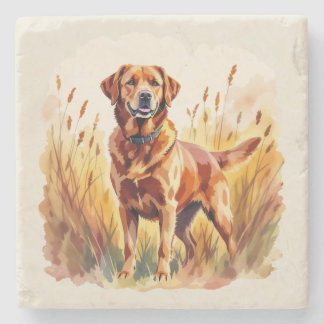 Fox Red Labrador Retriever Dog Stone Coaster