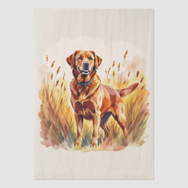 Fox Red Labrador Retriever Dog Tissue Paper (Front)