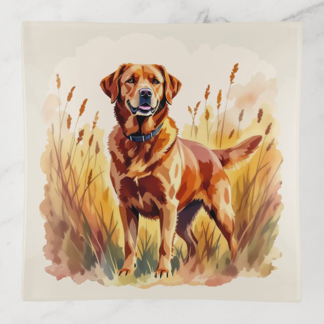 Fox Red Labrador Retriever Dog Trinket Tray (Front)
