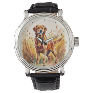 Fox Red Labrador Retriever Dog Watch