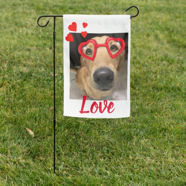 Fox Red Labrador Retriever with Red Heart Glasses Garden Flag (In SItu)
