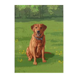 Fox Red Yellow Labrador Retriever Dog Acrylic Print