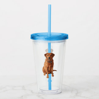 Fox Red Yellow Labrador Retriever Dog Acrylic Tumbler
