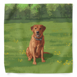 Fox Red Yellow Labrador Retriever Dog Bandana