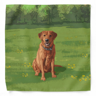 Fox Red Yellow Labrador Retriever Dog Bandana