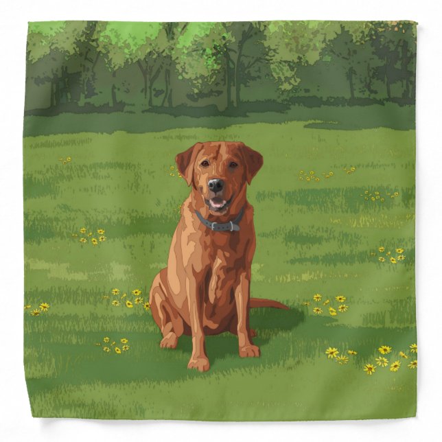 Fox Red Yellow Labrador Retriever Dog Bandana (Front)