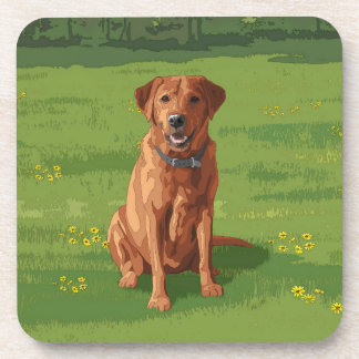 Fox Red Yellow Labrador Retriever Dog Beverage Coaster