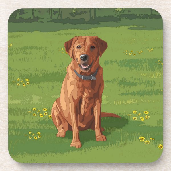 Personalized Fox Red Labrador Gifts on Zazzle
