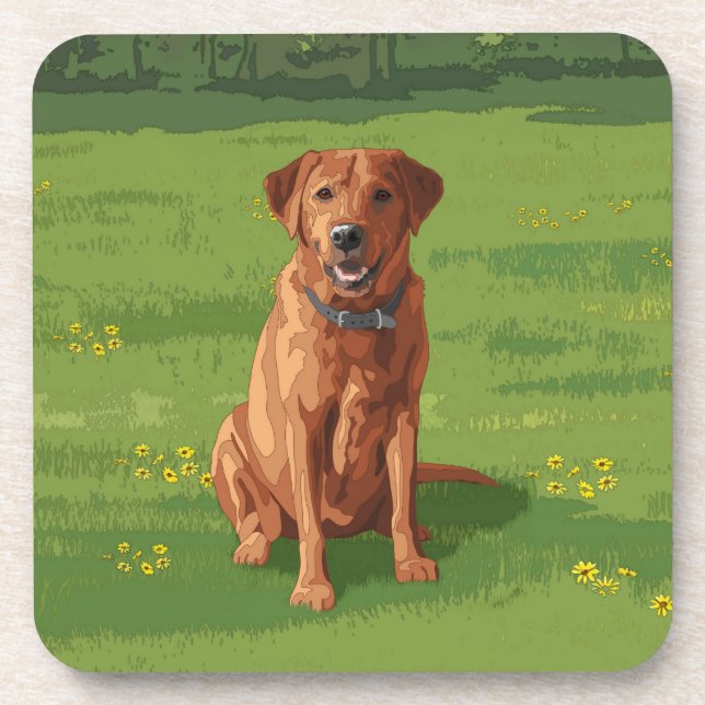 Fox Red Yellow Labrador Retriever Dog Beverage Coaster (Front)