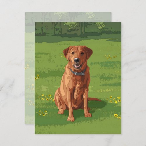 Fox Red Yellow Labrador Retriever Dog Invitation