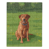 Fox Red Yellow Labrador Retriever Dog