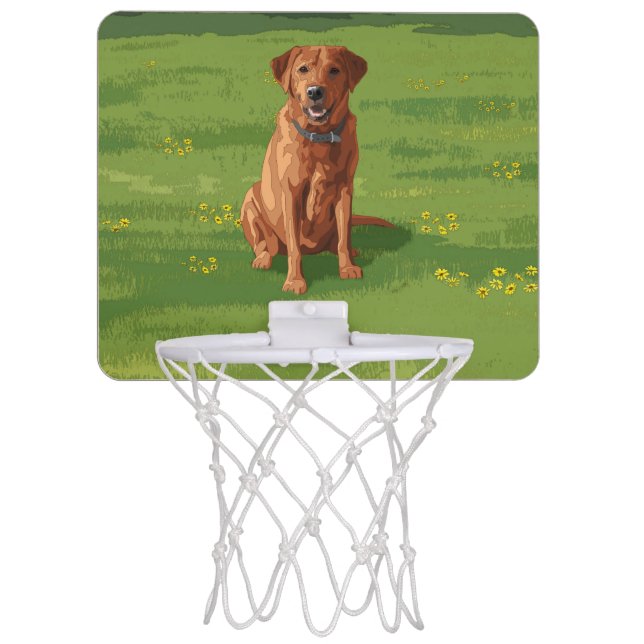 Fox Red Yellow Labrador Retriever Dog Mini Basketball Hoop (Front)