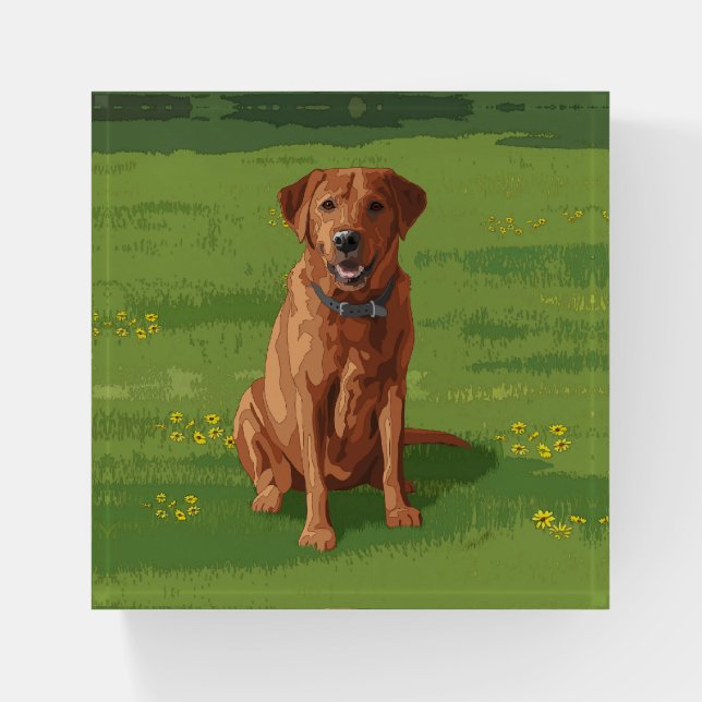 Fox Red Yellow Labrador Retriever Dog Paperweight (Front)