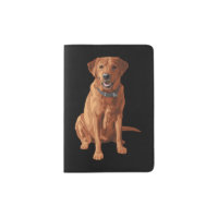 Fox Red Yellow Labrador Retriever Dog
