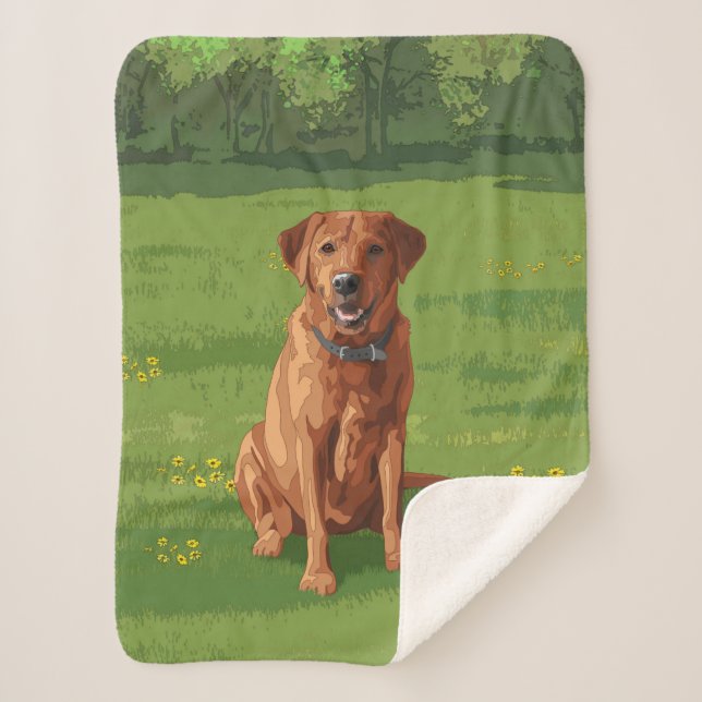 Fox Red Yellow Labrador Retriever Dog Sherpa Blanket (Front)