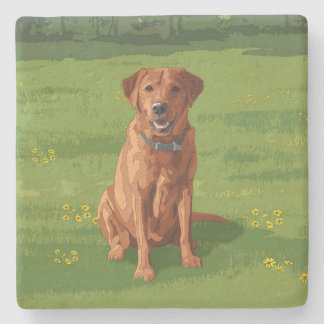 Fox Red Yellow Labrador Retriever Dog Stone Coaster