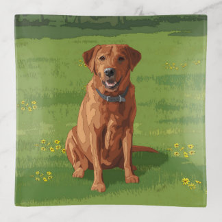 Fox Red Yellow Labrador Retriever Dog Trinket Tray