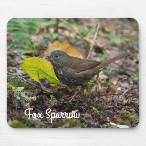 Fox Sparrow Mouse Pad