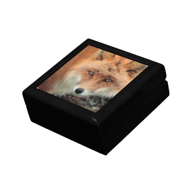 Fox Species Gift Box (Side)