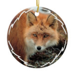 Fox Species Ornament