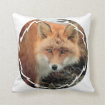 Fox Species Pillow