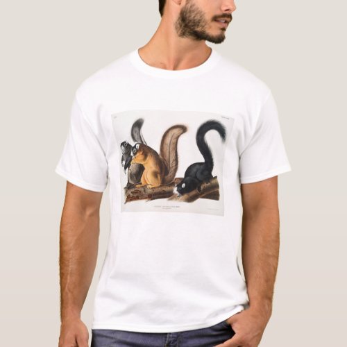 Fox Squirrel Camping Deco Gifts T_Shirt