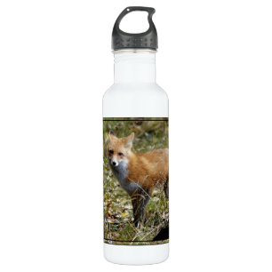 Fox Stainless Steel Water Bottle