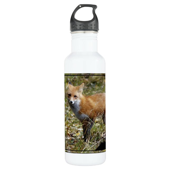 Fox Stainless Steel Water Bottle (Front)