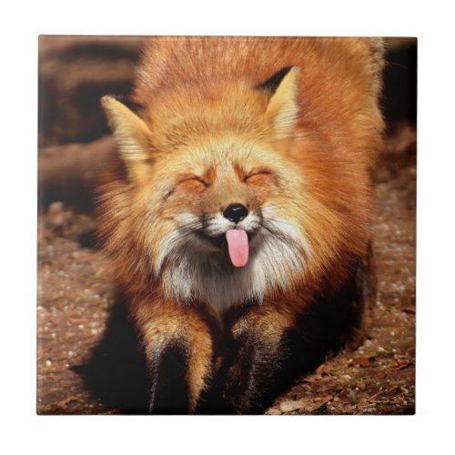 Fox Sticking Its Tongue Out Ceramic Tile