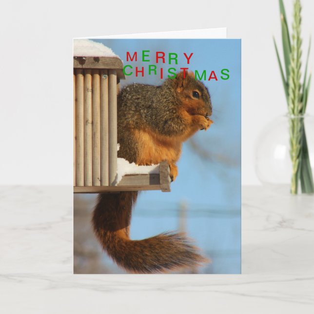 Fox Tail Squirrel close up Holiday Card (Front)