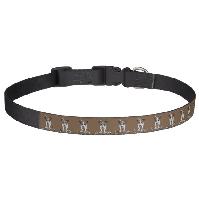 Fox Terrier And Fox Terrier Logo, Brown Pet Collar (Front)