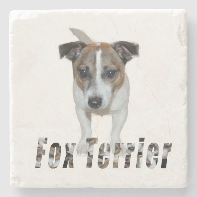 Fox Terrier And Fox Terrier Logo, Stone Coaster (Front)