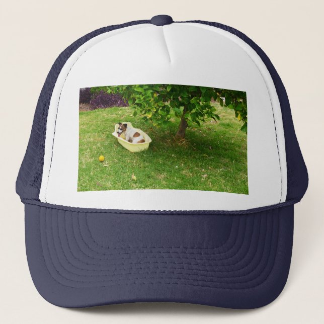 Fox Terrier Bathtime, Truckers Hat (Front)