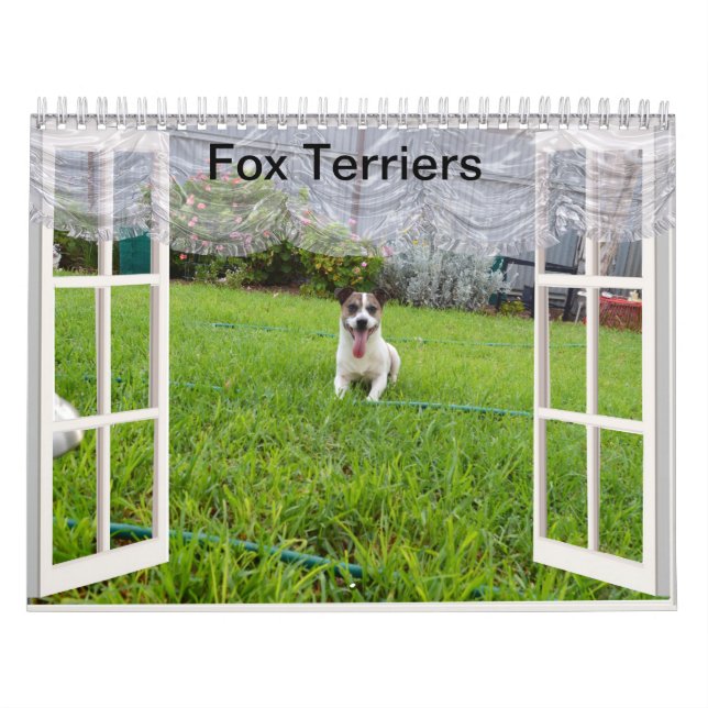 Fox Terrier Come Play, Calendar (Cover)
