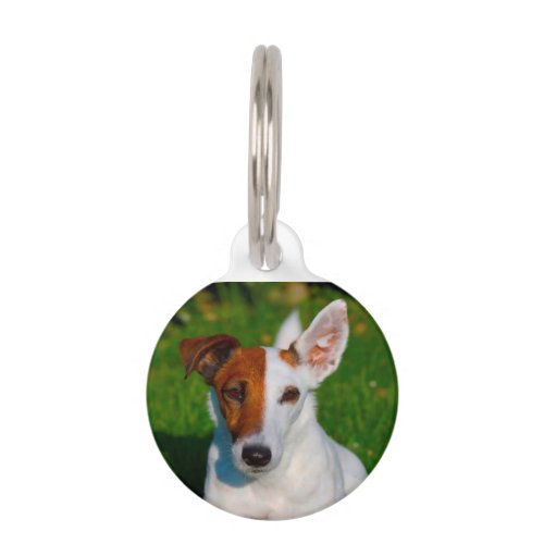 Fox Terrier Dog Pet ID Tag