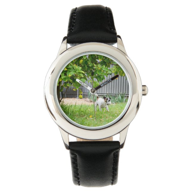 Fox Terrier Funny Scare Face, Watch (Front)