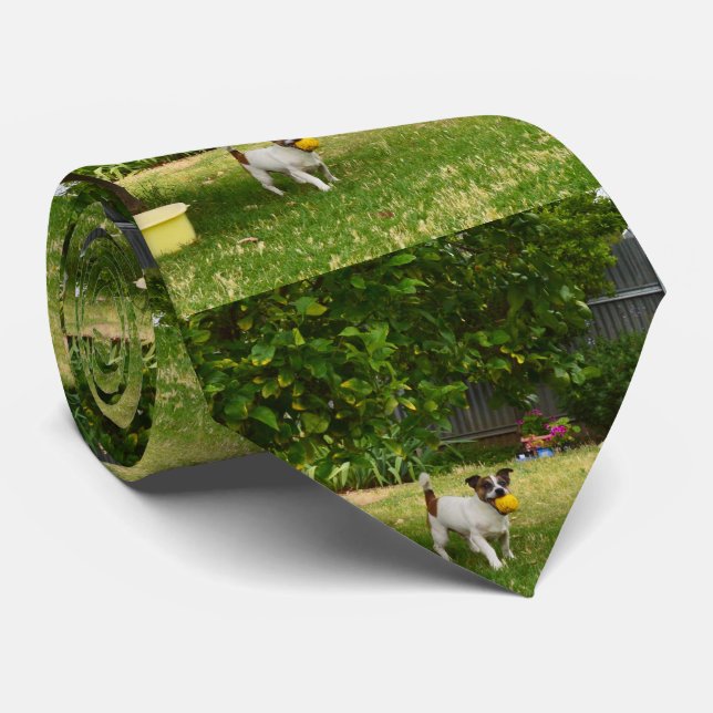 Fox Terrier Happy Days,  Neck Tie (Rolled)