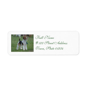 Fox Terrier Label