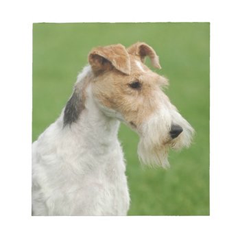 Fox Terrier Notepad by petsArt at Zazzle