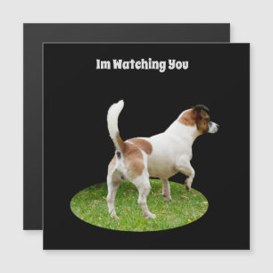 Fox Terrier on Guard Duty, Magnetic Card