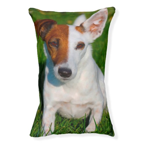 Fox Terrier Pet Bed