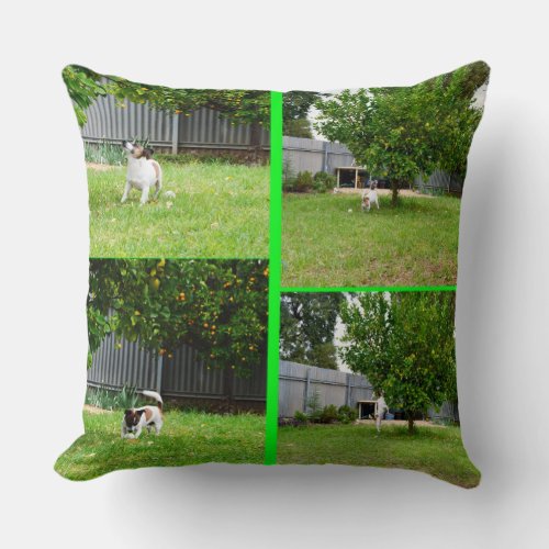 Fox Terrier Photo Collage Big Throw Cushion Throw Pillow