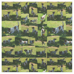 Fox Terrier Photo Collage, Fabric