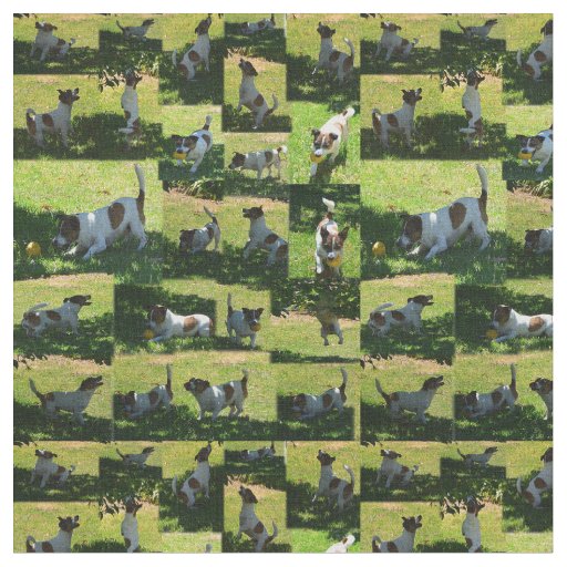 Fox Terrier Photo Collage, Fabric