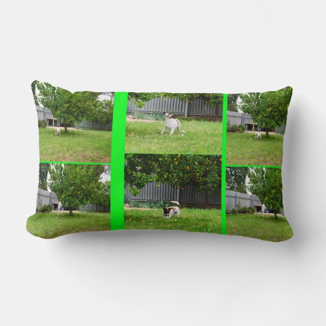 Fox Terrier Photo Collage, Lumbar Cushion. Pillow (Front)