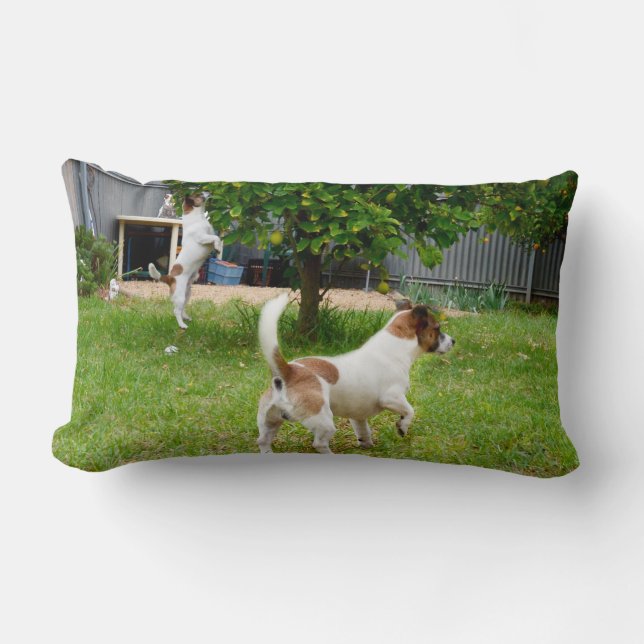 Fox Terrier Play Time Lumbar Cushion (Front)