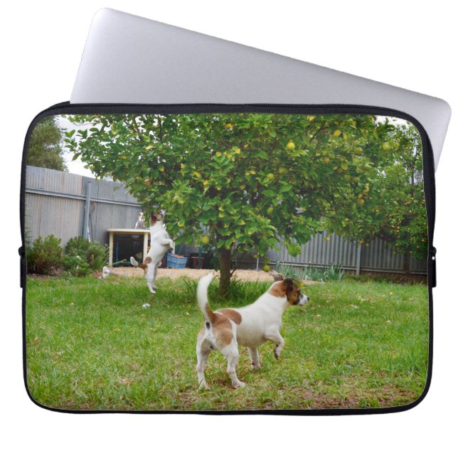 Fox Terrier Playtime, 13 inch Laptop Sleeve. Sleeve (Front)